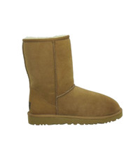 Ugg W Chestnut Classic Short