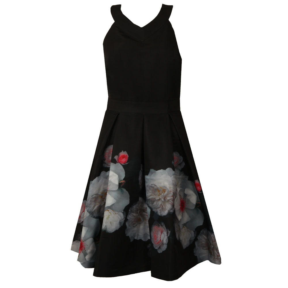 Full Skirt Dress
