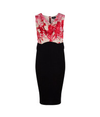Ted Baker Dega Floral Etchings Cowl Neck Dress